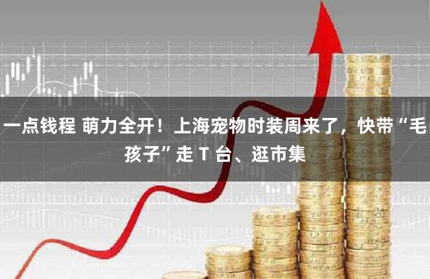 一点钱程 萌力全开！上海宠物时装周来了，快带“毛孩子”走 T 台、逛市集