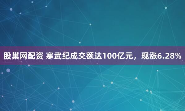 股巢网配资 寒武纪成交额达100亿元，现涨6.28%